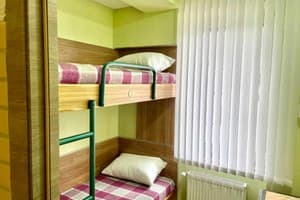 Файна Птиця 1